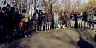 Huszonöt migránst fogtak el a Mohácsi-szigeten vasárnap Huszonöt migránst fogtak el a Mohácsi-szigeten vasárnap