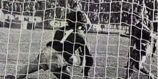 Egy legendás játékos legendás meccse: Dárdai 44 éve négyet vágott a Dózsának Egy legendás játékos legendás meccse: Dárdai 44 éve négyet vágott a Dózsának