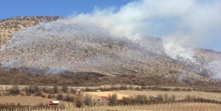 Venyigeégetésből lett hatalmas tűz a Szársomlyó-hegyen