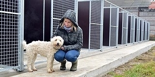 Gyógyítására, állatemenhelyeknek érkezik a legtöbb felajánlás Gyógyítására, állatemenhelyeknek érkezik a legtöbb felajánlás