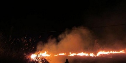 Újabb szabadtéri tüzek voltak kedden Baranyában
