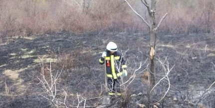 Rengeteg szabadtéren keletkezett tüzet kellett oltani Baranyában