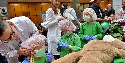 Idén is rengeteg beteg macin segítettek a Teddy doktorok, a gyerekek is jól érezték magukat
