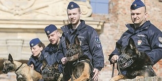 Kutya jó velük: a határok védelmében is segítik a zsaruk munkáját a kutyák Kutya jó velük: a határok védelmében is segítik a zsaruk munkáját a kutyák