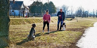 Teljesen megújulhat a Béke park: kutyafuttató és játszótér építése szerepel a tervek között Teljesen megújulhat a Béke park: kutyafuttató és játszótér építése szerepel a tervek között