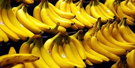 Megfeleltek az előírásoknak a Nébih által ellenőrzött banánok