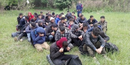 Negyvenöt migránst kapcsoltak le a határvédők Hercegszántónál