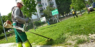 Gaztenger helyett virágok: a korábbiakhoz képest több alkalommal kaszálják a közterületeket
