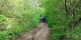 Baranyában a legmagasabb az illegális fakitermelés kockázata Baranyában a legmagasabb az illegális fakitermelés kockázata