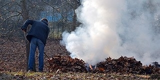 Egészségesebb lesz levegőt venni Pécsett: betiltották a kerti hulladék égetését Egészségesebb lesz levegőt venni Pécsett: betiltották a kerti hulladék égetését