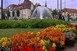 Május 20-ig lehet nevezni a Virágos Magyarország versenyre