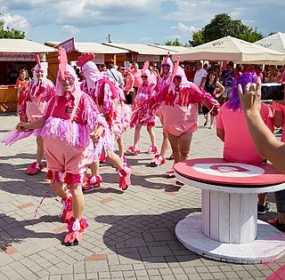 Ismét jön az ország legrózsaszínűbb rendezvénye, a Villányi Rozé Fesztivál Ismét jön az ország legrózsaszínűbb rendezvénye, a Villányi Rozé Fesztivál