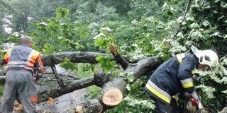 Baranyai tűzoltók is segítenek a viharkárok felszámolásában Szabolcsban Baranyai tűzoltók is segítenek a viharkárok felszámolásában Szabolcsban