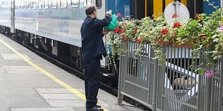 Gondnok ügyel a rendre a pécsi főpályaudvaron és több baranyai állomáson Gondnok ügyel a rendre a pécsi főpályaudvaron és több baranyai állomáson