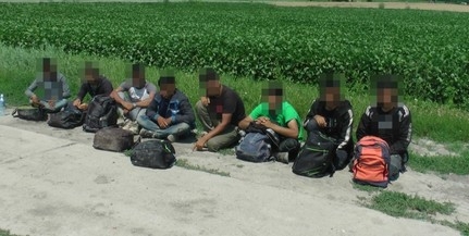 Nyolc migránst tartóztattak fel a határvédők Hercegszántónál