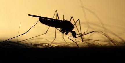 Ezeken a baranyai településeken irtják a szúnyogokat