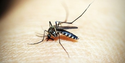 Baranyában is folytatódik a héten a szúnyogirtás