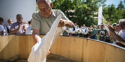 Magyarok kenyere: már csaknem negyven tonna búza gyűlt össze Baranyában