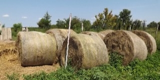 Kettesével lopta el a baranyai legelőről a körbálákat