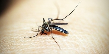 Ezen a héten nem lesz szúnyoggyérítés Baranyában