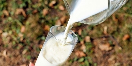 Egymilliárd forintból épült tejfeldolgozó üzem Mágocson