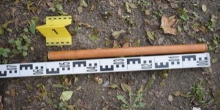 Sodrófával ütötte homlokon testvérét egy nő Mohácson