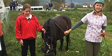 Az Állatok Világnapját ünnepeljük Az Állatok Világnapját ünnepeljük