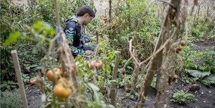 A pécsi Zöld Folt Közösségi Kertje nyerte az E. ON díját A pécsi Zöld Folt Közösségi Kertje nyerte az E. ON díját
