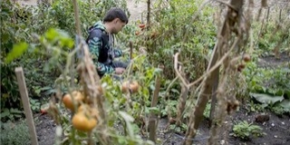 A pécsi Zöld Folt Közösségi Kertje nyerte az E. ON díját A pécsi Zöld Folt Közösségi Kertje nyerte az E. ON díját