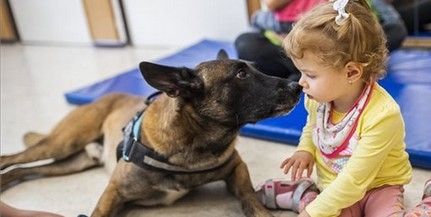 Magyar mentőkutya lett a világ legjobb romkutató kutyája