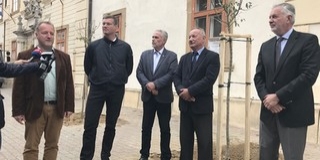 2022 fát ültetnek el néhány héten belül Pécsett 2022 fát ültetnek el néhány héten belül Pécsett