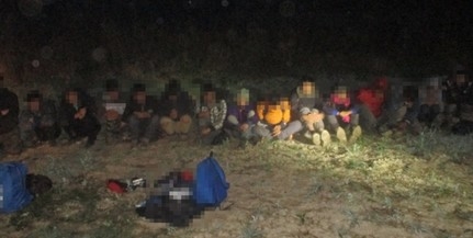 Tizenöt migránst tartóztattak fel Hercegszántónál