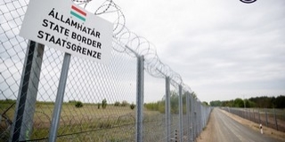Egy focicsapatnyi migránst fogtak el Hercegszántónál Egy focicsapatnyi migránst fogtak el Hercegszántónál