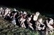 Több mint kétszeresére emelkedett a Baranyában elfogott migránsok száma Több mint kétszeresére emelkedett a Baranyában elfogott migránsok száma