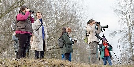 Téli madármegfigyelésre hív a nemzeti park a Dunán