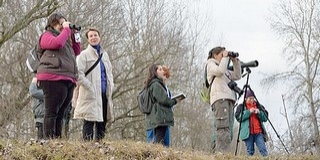 Téli madármegfigyelésre hív a nemzeti park a Dunán Téli madármegfigyelésre hív a nemzeti park a Dunán