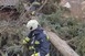 Szerdán sem kímélte a vihar a megyét, folyamatosan dolgoztak a tűzoltók