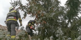 Kidőlt fák, oszlopok, elzárt utak - Így pusztított a vihar hétfőn Baranyában