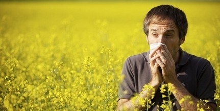 Az enyhe időjárás miatt máris itt a pollenszezon