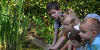 A Pintér-kertbe vagy a Denevérmúzeumba készül? Olvassa el!