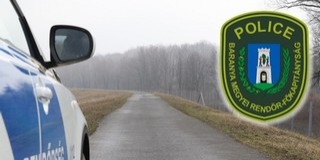 Migránsokat tartóztattak fel délelőtt Mohács térségében Migránsokat tartóztattak fel délelőtt Mohács térségében
