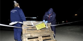 Zsákban tároltak emberi csontokat egy ház udvarán Zsákban tároltak emberi csontokat egy ház udvarán