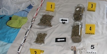 Több mint fél kilogramm füvet találtak a zsaruk Görcsönyben Több mint fél kilogramm füvet találtak a zsaruk Görcsönyben