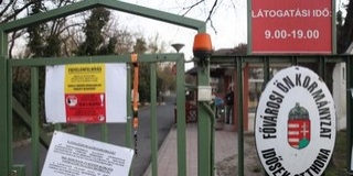 Három ellenőrzésből háromszor nem volt jelen orvos a Pesti úti idősotthonban Három ellenőrzésből háromszor nem volt jelen orvos a Pesti úti idősotthonban
