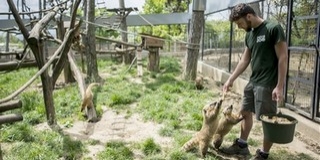 Jövő héten kinyithatnak a strandok, a kerthelyiségek és az állatkertek is Jövő héten kinyithatnak a strandok, a kerthelyiségek és az állatkertek is