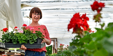 Czakó Anita, a pécsi növényorvos szerint a virágtermesztés nemcsak egy foglalkozás