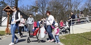 A nagy bajban lévő állatkert megnyitását kérik a nemzeti oldal képviselői Péterffytől A nagy bajban lévő állatkert megnyitását kérik a nemzeti oldal képviselői Péterffytől