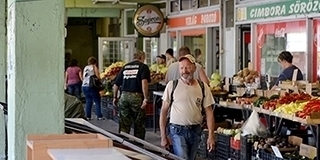 Csak szombaton nyitják ki a pécsi állatkertet, a vásárcsarnok jövő hétfőig csak részlegesen üzemel