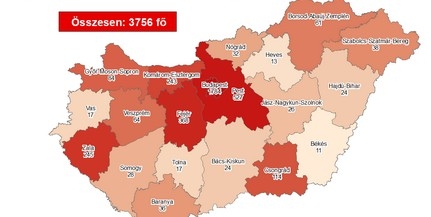 Már huszonhárom napja nincs új fertőzött Baranyában Már huszonhárom napja nincs új fertőzött Baranyában