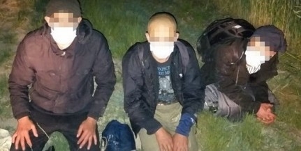 Migránstriót kaptak el a rendőrök Kölkednél az éjjel Migránstriót kaptak el a rendőrök Kölkednél az éjjel